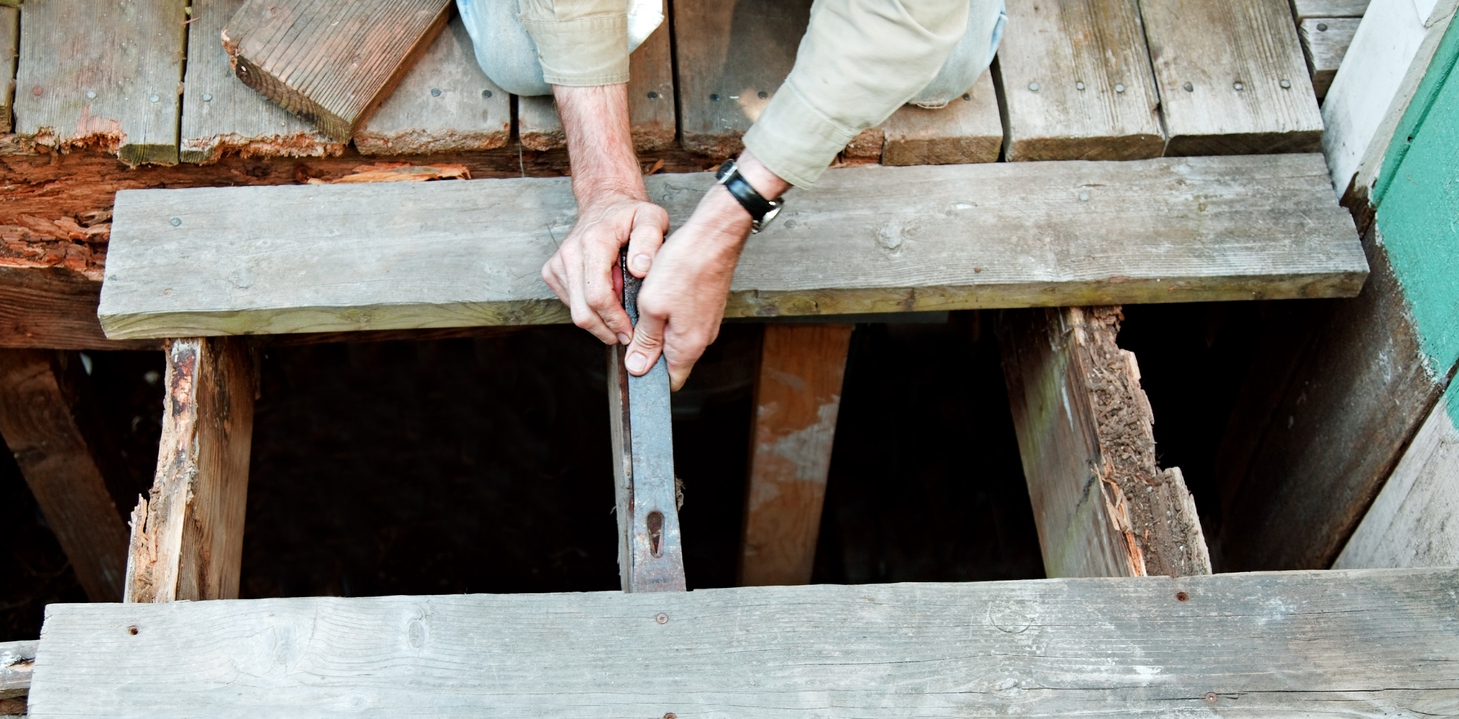 How to identify wet rot vs dry rot (and what to do about it)